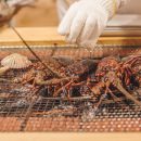 現役海女による網焼き料理！？志摩市で行われたイベント『伊勢志摩 de 海鮮 CAMP』に参加！